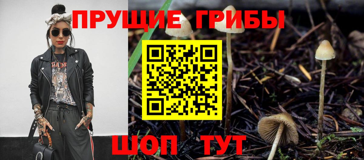 Псилоцибиновые грибы Cubensis Еманжелинск